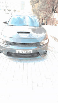 بيهه مجال ٢٥٠ مكاني كربلاء *********** ***********
