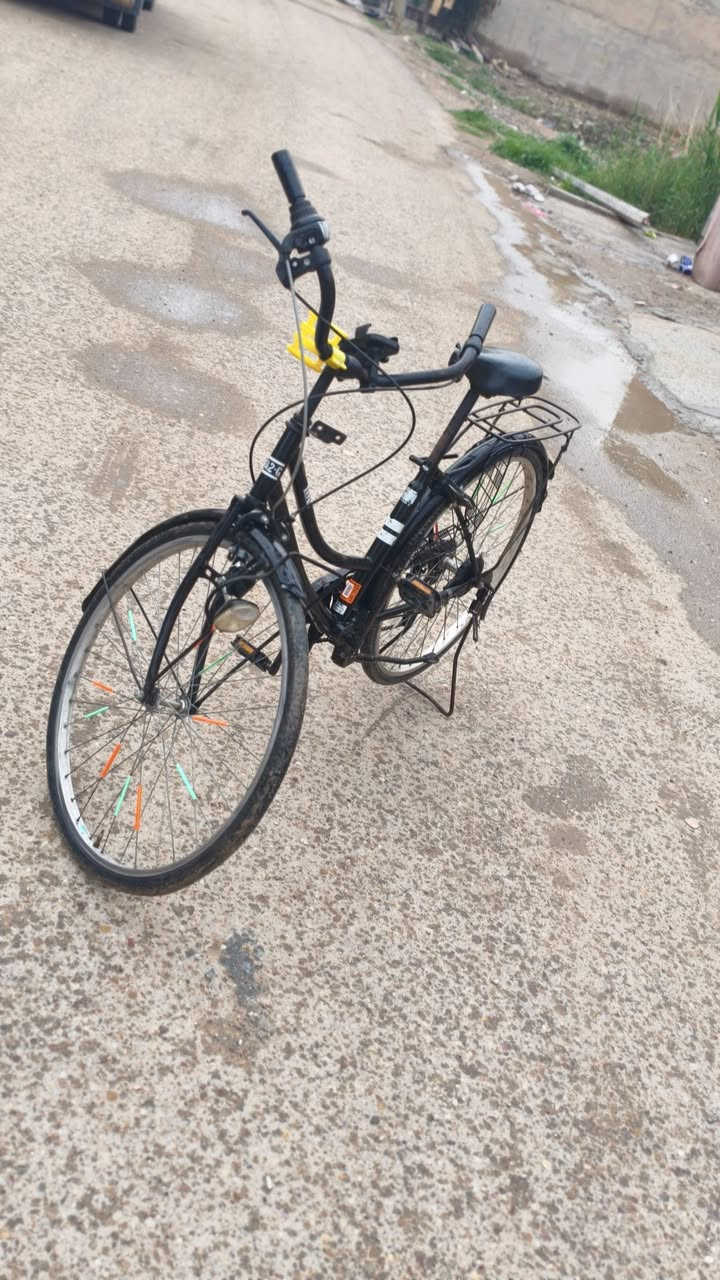 السلام عليكم عندي بايسكل حجم 26 البايسكل امانه الله جديد ونظيف حيل يعني مو شلون مكانن بي طخه بالويل الخلفي ودائره مال زنجار صغيره كلش يعني اي صبغ تتكحل وبي كير ست سرعة وتجي ويا  كاسحه السعر مالته 85 وبي مجال للشراي بسيط الشراي يجي خاص


**إذا كنت صاحب هذا الإعلان وتريد حذفه لأي سبب، رجاءا أرسل رسالة إلى الدعم الفني**