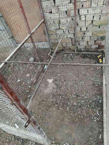 سلام عليكم قفص كبير للبيع العنوان بغداد تقاطع النهروان السعر اتصل الرقم ***********
