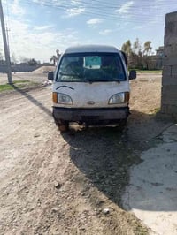 فاو ٢٠٠٦ • كله شرط • ربيل بير دوود