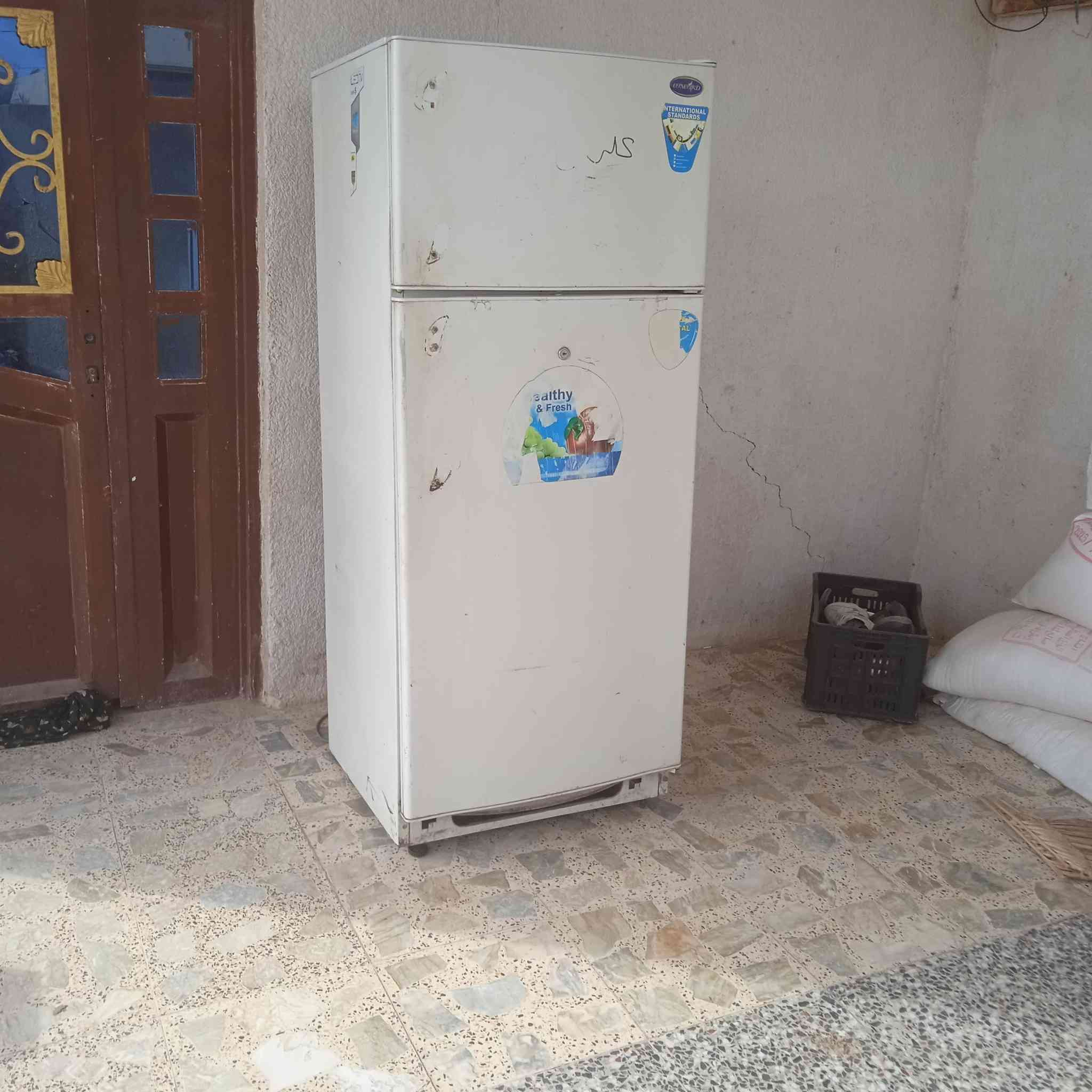 للبيع شغاله تجميد فول مثل واضع بل صوره اتصال ***********رقمين بيه واساب ***********خاص مفتوح
