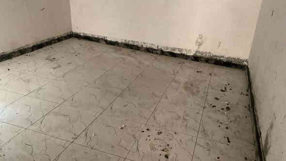 هيكل للبيع زراعي مشمول بقرار التمليك منطقة الحمزلي مقابل كراج بغداد
100 متر طابقين يحتوي طابق الاول كراج استقبال مطبخ وصحيات وغرفة نوم والطابق الثاني غرفتين نوم وصحياتي وهول داخلي صغير كامل بي لبخ بياض كاشي كهربائيات مجاري سحب كهرباء وماء كامل النقص بي ابواب وشبابيك وسقوف وشتايكر
للاستفسار عالخاص او اتصال بالرقم ***********
