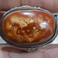 خاتم • داودي • للبيع