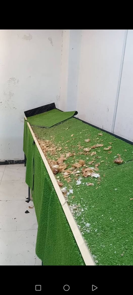 سلام عليكم للبيع ميوزه تفصال جديد مال مخضر
رقم الهاتف ***********
