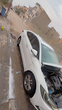 فول مواصفات خليجي • ٢٠١٧ • البصره