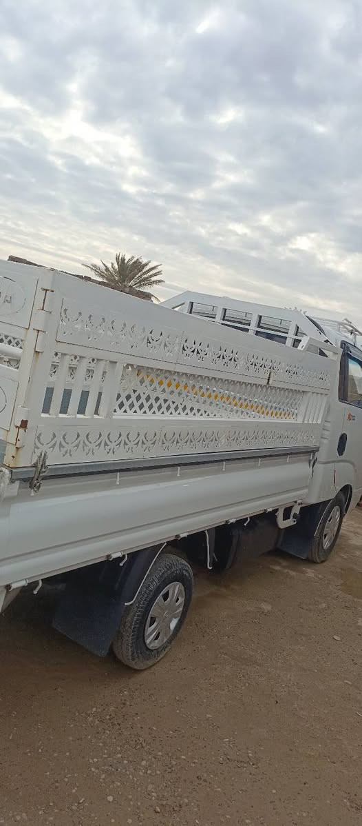 سلام عليكم محجل للبيع مكان صلاح الدين تكريت السعر 400 وبي مجال اتصلل وبيك خير وتدلل ***********
