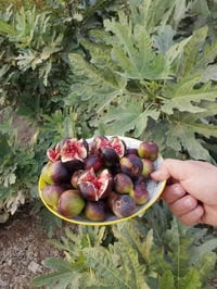 وبركاته اللهم صلي وسلم وبارك على سيدنا ونبينا محمد وعلى آل بيته الطيبي...