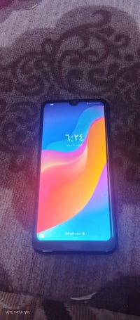 هونر • شغال • هور السعد