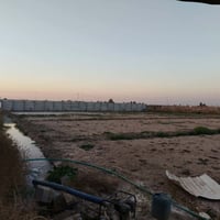 دونم • طابو زراعي • النيل