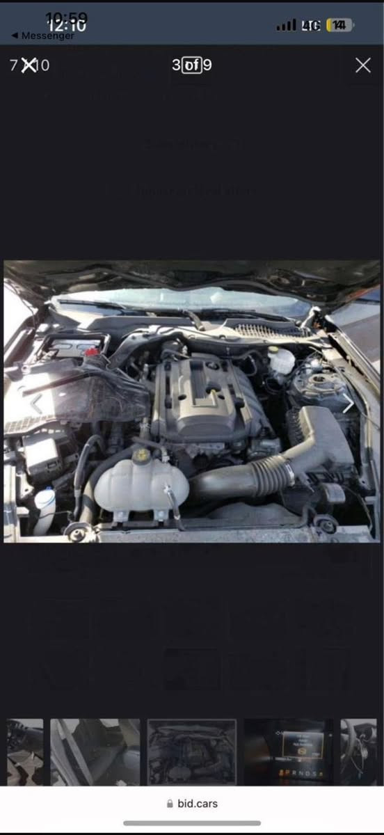 موستنك 2020 500Hp
سلام عليكم شباب موستنك ايكو بوست ماشية 57mi حادثها موجود بل صور وبيها تبديل جاملغ وبنيد نفس الون ممصبوغات بدون حادث!
السياره عليها 

عليها شوته كوستم
عطاسات
توربو ابكريد من شركه مامبا 
انتركولر ضخم
ميثانول 
داون بابيب 
دبات فورتك
وعليها  وياله ويلد
وجناح شيلبي
 برمجه ثلاث وضعيات
الوضعية الاولى اسرع مود بالسباره توصل 500hp
الثاني طلقات
الثالث اقتصادي
حادثها جاملغ  خلفي من امريكا
وبالعراق اقل الشبر بالبنيد (بدون حادث)
هزة جديده الرقم الجديد مناقصها شي السياره 
الراديتر الاصلي موجود وحجر البيئة هم موجود 
عارضها 170 وبيها مجال  
رقمي ***********

