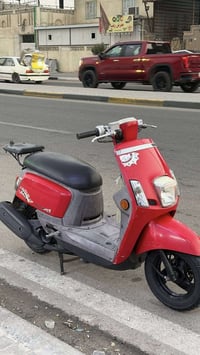 كوكسي • عدلة • ناشفة