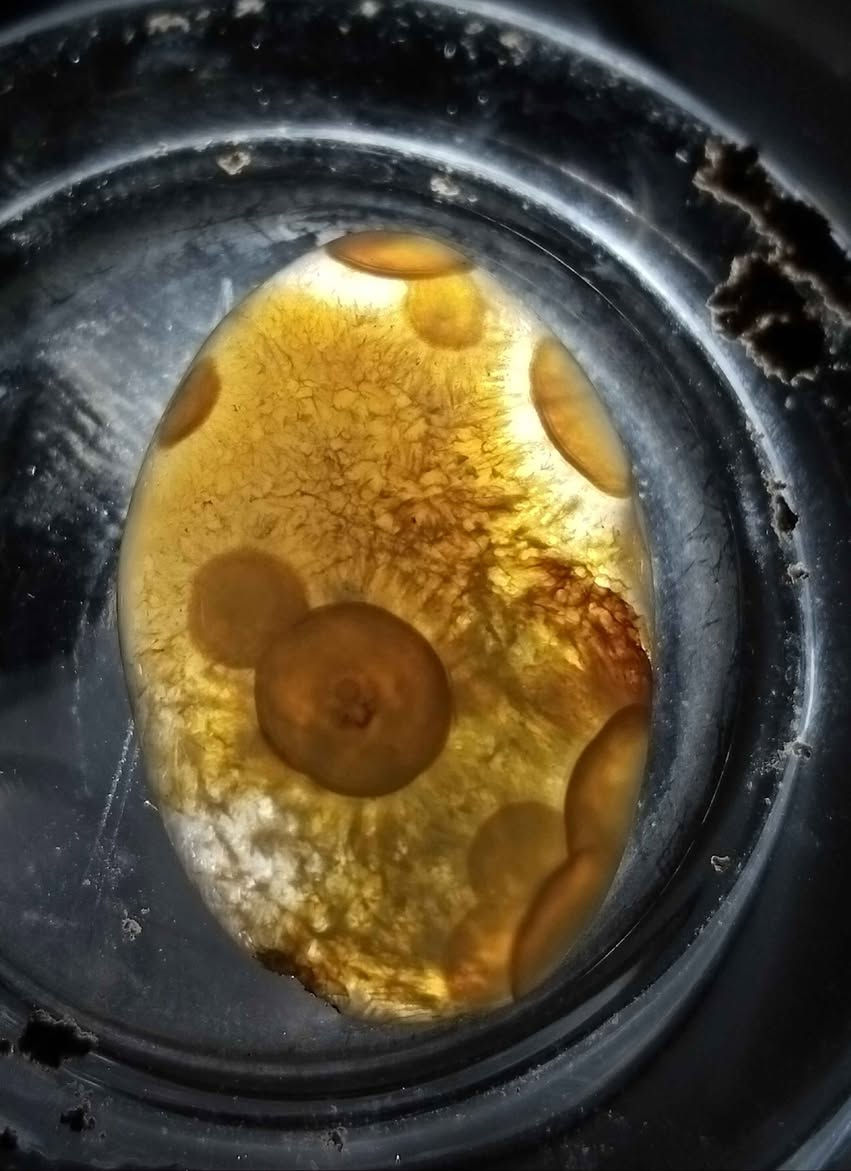 عقيق سليماني العين واضحة والتشجير الداخي كلش حلو وزنة 4غرام صياغة ممتازة وشفافية عالية سعر25 توصيل داخل كركوك مجاني *********** كركوك, العراق
