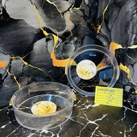 كرستال مرسى • جملة فقط • كربلاء البوبيات