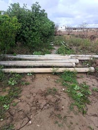 بواري • اسبست • ١٠