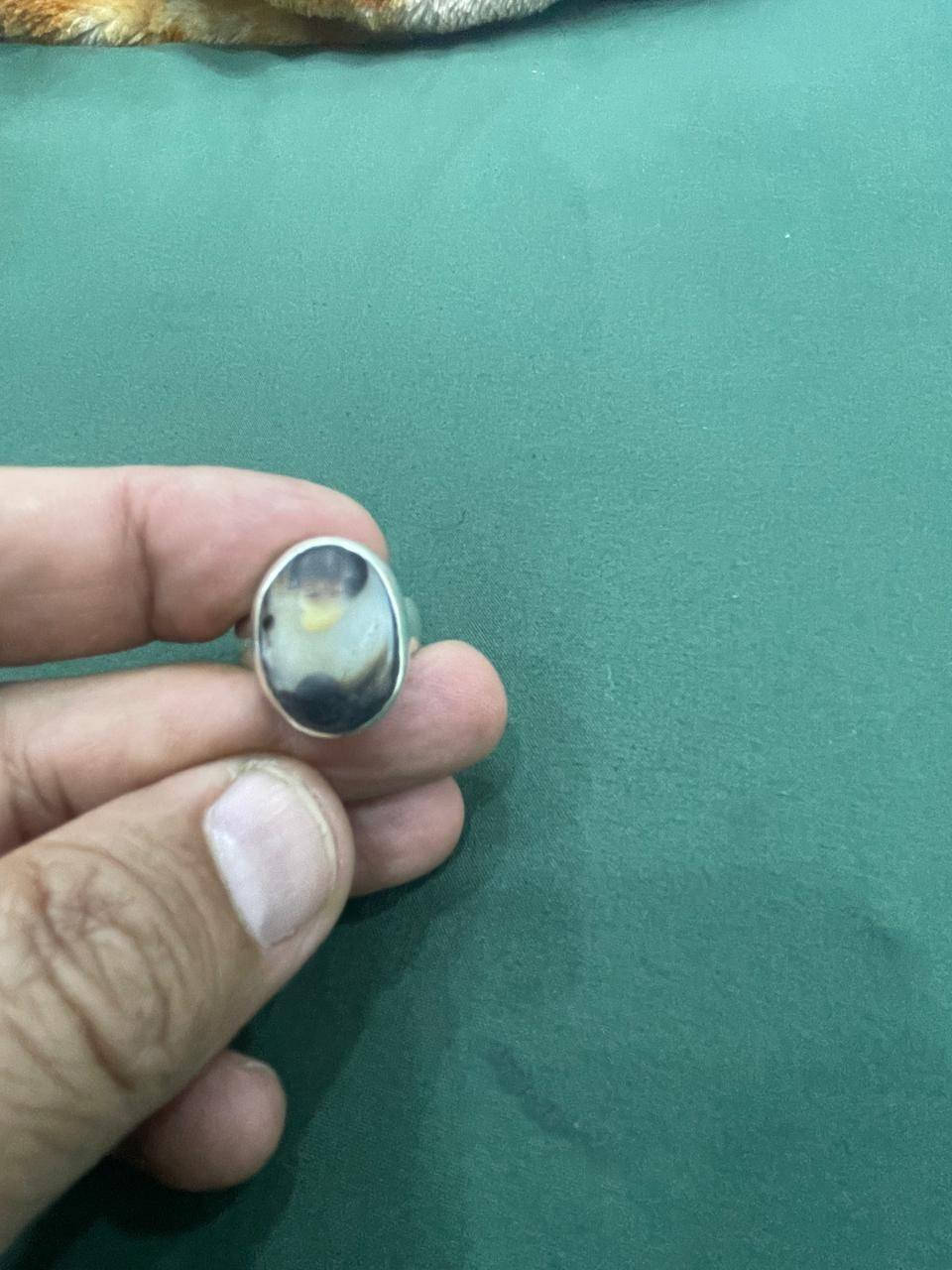 الله هم صلي على محمد وعلى آله محمد محبس بي صورت سيد  مكان بغداد سعر خاص  بغداد حي ور ***********
