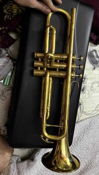 ترامبيت • ألمانيا • سعر خاص