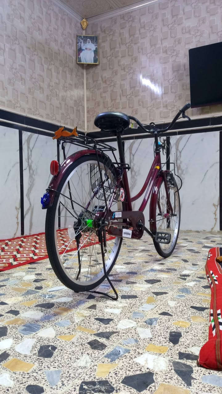 السلام عليكم للبيع بيسكل حجم 26 موديل 22 نضيف والله  الاستفسار على الرقم
***********  :
