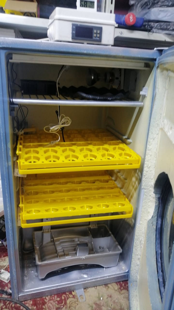 فقاسه ١٠٠ بيضه تقليب اتو ماتك *********** البصره الجزيره باب الهوه
