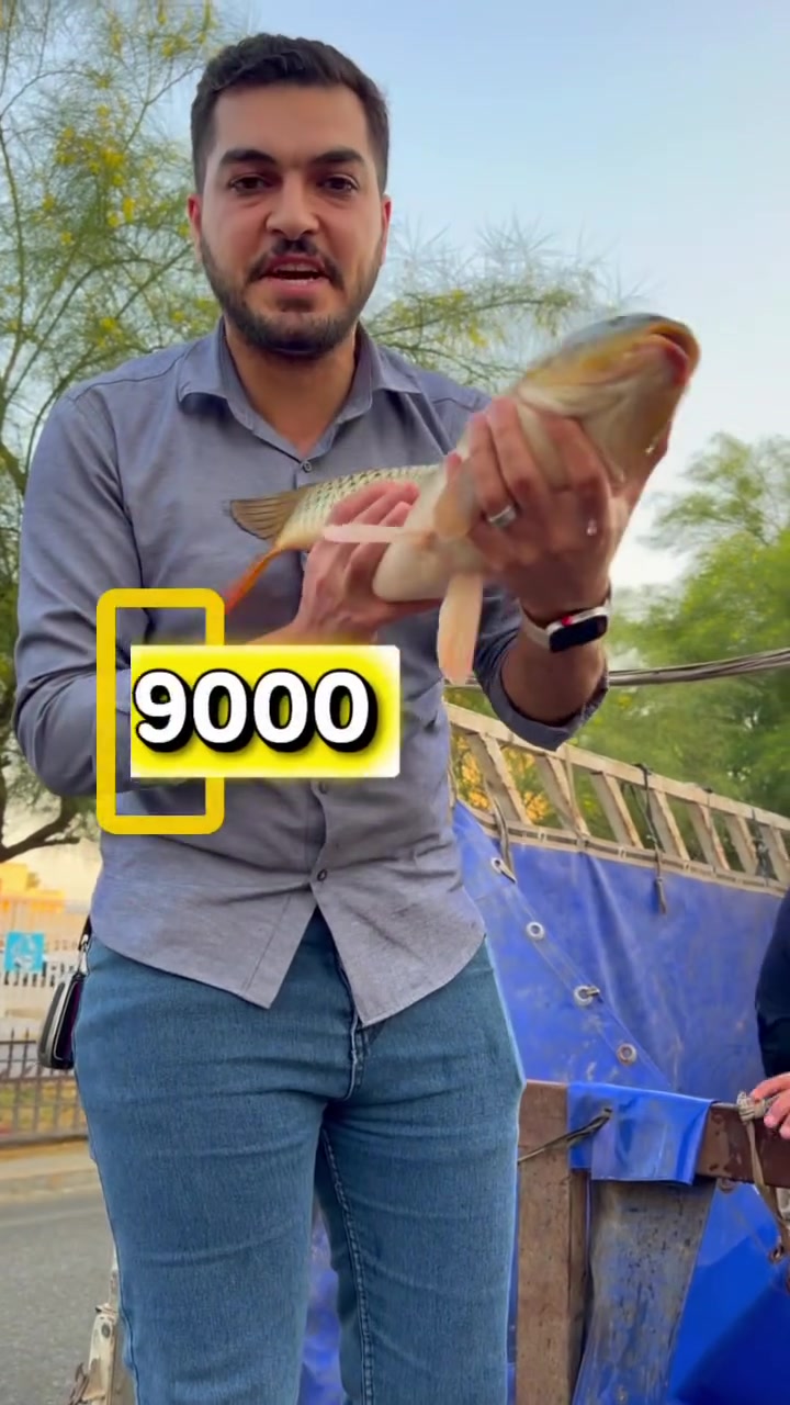 10 فائزين بوجبات مسكوف
ومستمرين 
وياكم بأقوى عرض في الموصل: كيلو المسكوف بـ 9,000 دينار فقط (السعر يشمل الخبز، المقبلات، وتوصيل مجاني لكل المناطق)! 🚚📍 العنوان: الموصل، الفيصلية، مقابل التربية.
📞 للحجز المباشر (اتصل الآن): ***********.
