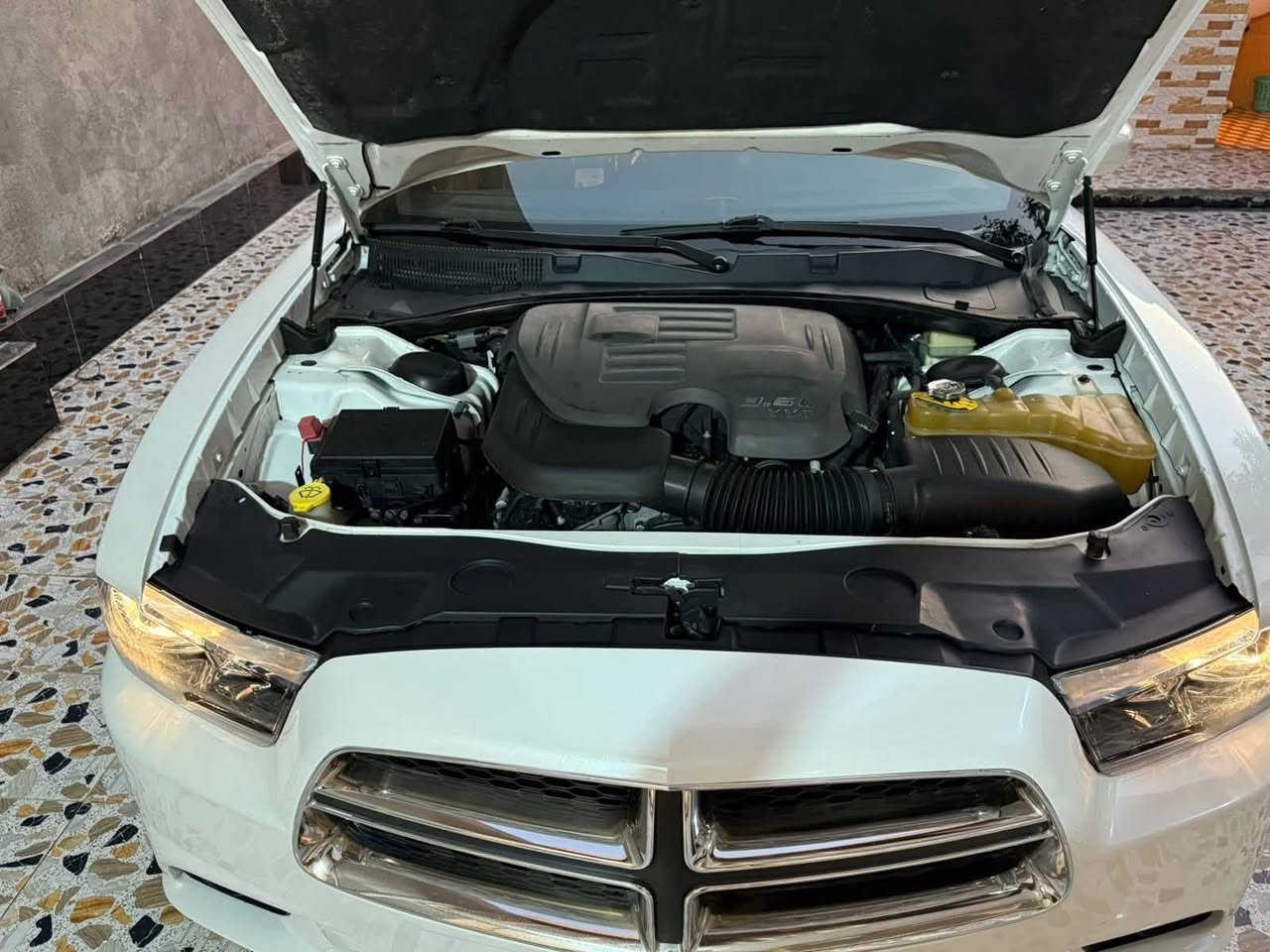 السلام عليكم جارجر 14حاويه كفاله عامه ضربه صبغ كص سياره جديده
السعر 95وبي مجال حك الجيه فقط 
***********
