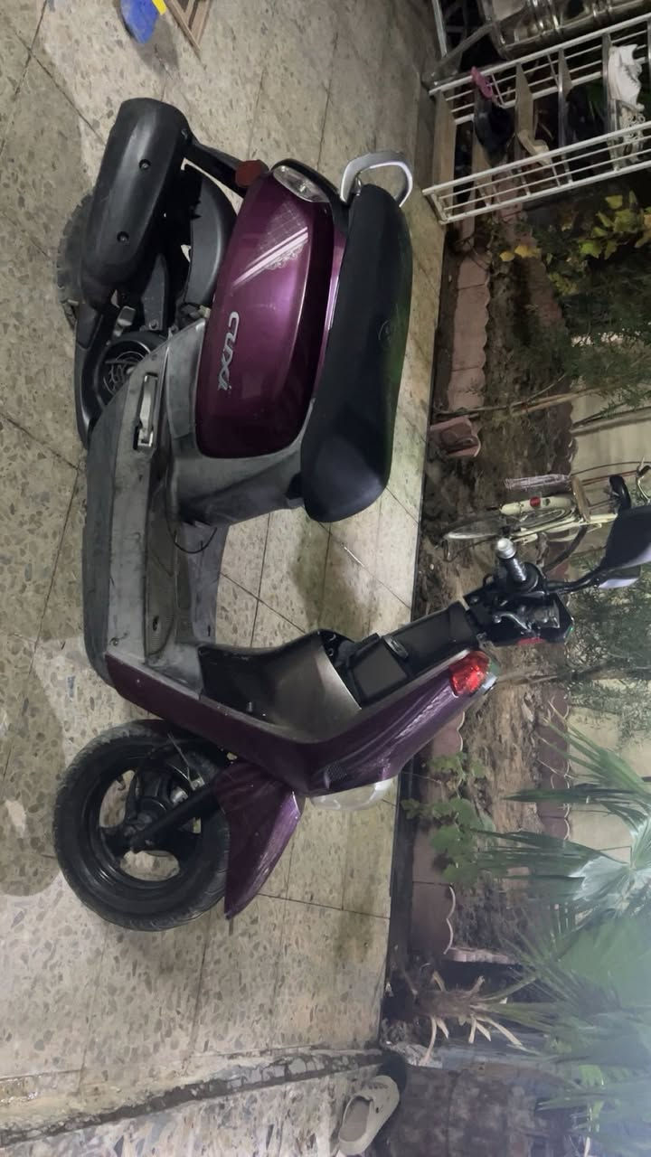 دراجة للبيع بليس مصطرة ونزل حساس ازدحام استان كهربائي دراجة ضالعة ١٥ يوم نازلة من الرمبة السعر ٩٠٠ وبيهة مجال مكاني الشعلة ام نجم ***********
