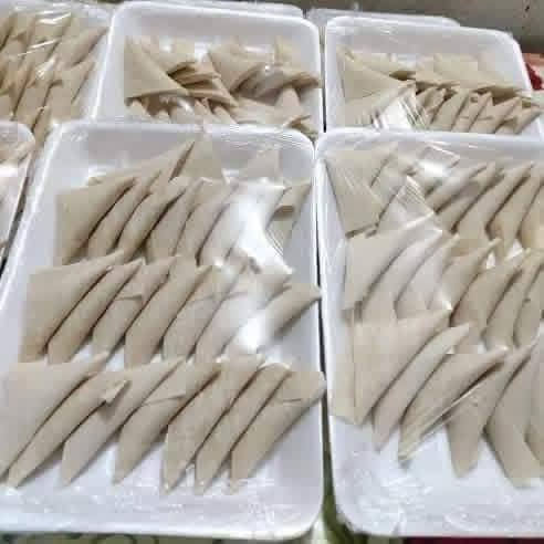 كبه حلب ١٠٠قطعه ٢٥الف


**إذا كنت صاحب هذا الإعلان وتريد حذفه لأي سبب، رجاءا أرسل رسالة إلى الدعم الفني**