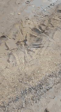 قطعه طريق المعاره المساحه 120السعر 10,وبيه مجال ***********
