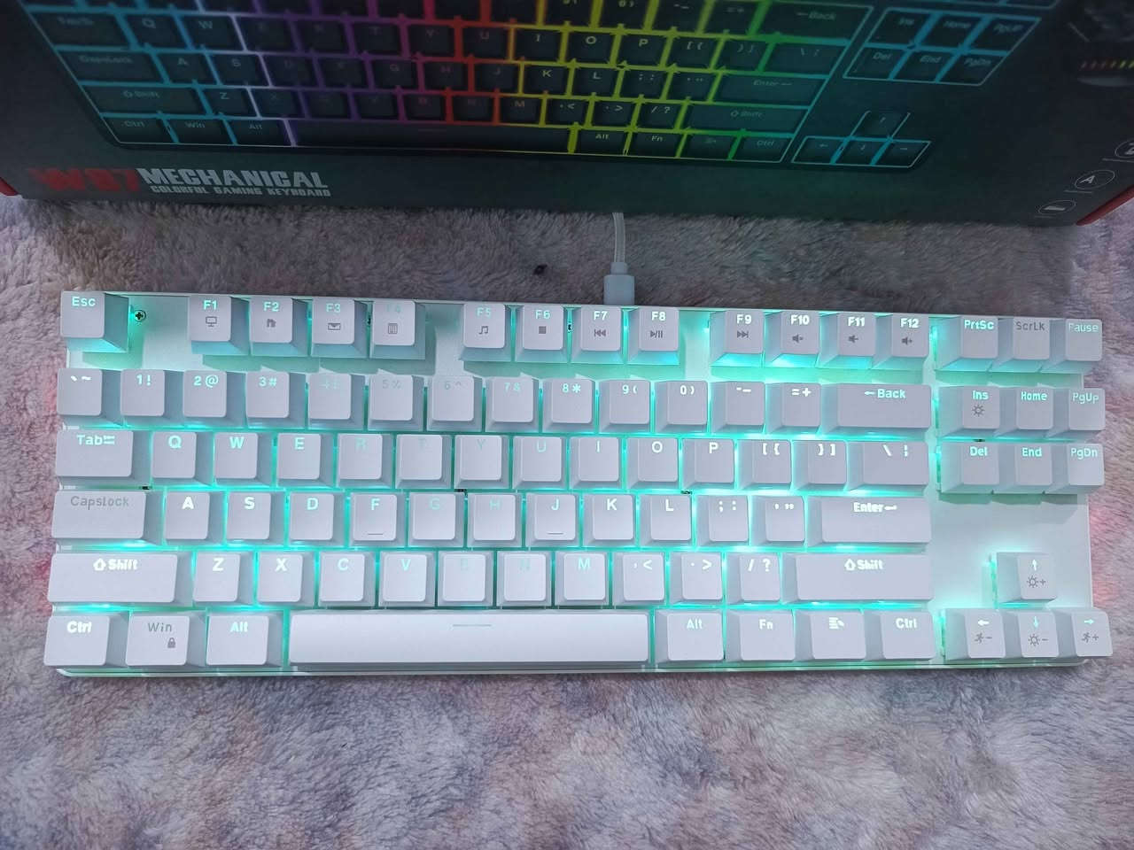WEIYU W87 White Color

- Wired 87 Key Mechanical Full RGB Keyboard

- Hot Swappable

- 1000Hz Polling Rate

- 50+ Million Keys

- 0.69Kg Weight

گەیاندن بەردەستە 🚕
توصيل موجود 🚕 بشدار, السليمانية


**إذا كنت صاحب هذا الإعلان وتريد حذفه لأي سبب، رجاءا أرسل رسالة إلى الدعم الفني**