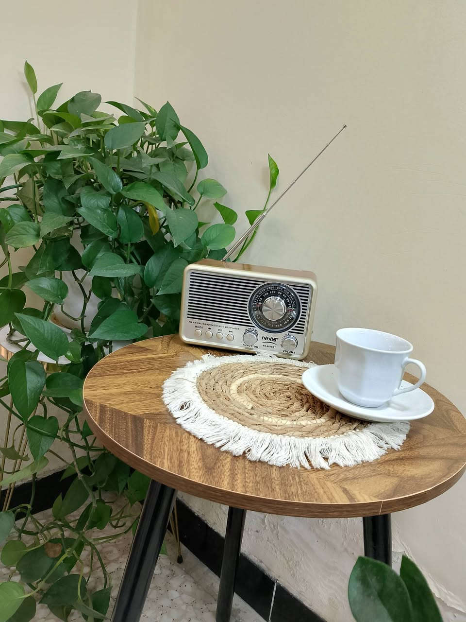 طبله خشبيه جديد بالكارتون


**إذا كنت صاحب هذا الإعلان وتريد حذفه لأي سبب، رجاءا أرسل رسالة إلى الدعم الفني**