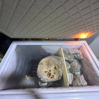 مجمده • حجم كبير • تجميد فول