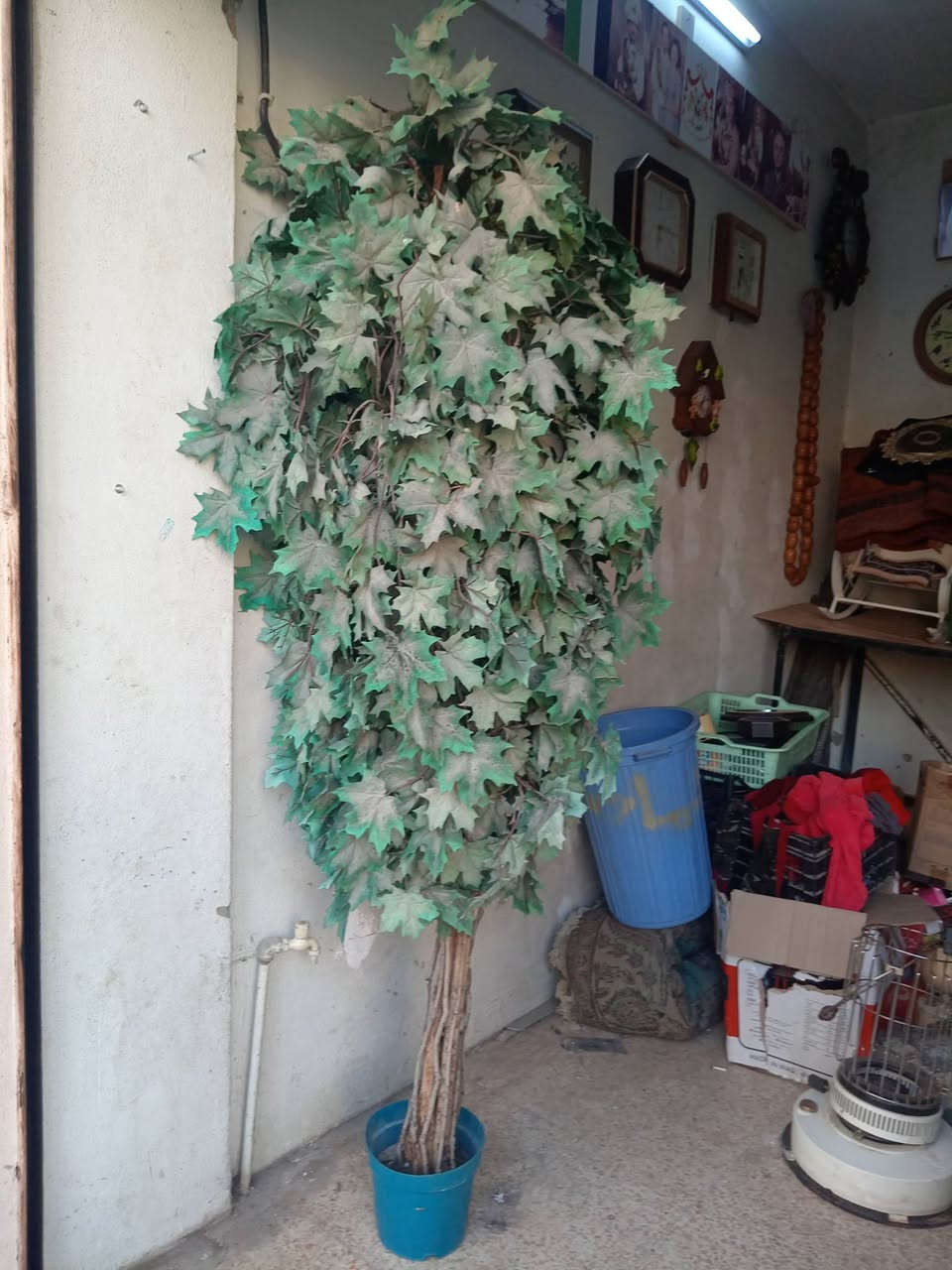 للبيع مبرده اصليه مستخدمه موسم واحد سرعتين ب 125حجم 2ونص شجره بلاستك ب 10حديد العدد 30قطعه ب 25مكاني وادي حجر


**إذا كنت صاحب هذا الإعلان وتريد حذفه لأي سبب، رجاءا أرسل رسالة إلى الدعم الفني**