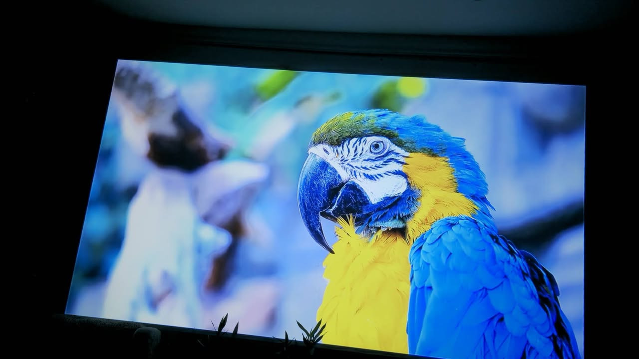 (البروجيكتور) من ماركة FLIXTONE:
المواصفات التقنية والعرض
​الدقة الأصلية (Native Resolution): دقة 1080p Full HD حقيقية (1920 \times 1080 بكسل).
نظام اندرويد حديث يوتيوب سوق بلي
حجم الصوره 300 انج تقريبا ٦ متر 
​دعم المحتوى: يدعم تشغيل محتوى بجودة 4K (4K Support).
​السطوع: قوة إضاءة تصل إلى 2300 ANSI ، مما يعني وضوحاً جيداً حتى في الإضاءة المتوسطة او العاليه 
​تقنية الألوان: يدعم تقنية HDR10 لتحسين التباين وعمق الألوان.
​الصوت والمميزات الذكية
​نظام الصوت: يحتوي على سماعات مدمجة بنظام Surround Sound بقدرة 15 واط × 2، مما يوفر صوتاً محيطياً قوياً.
​التعديل التلقائي (Auto Correction): يدعم ميزة التصحيح التلقائي للصورة (الكيستون)، مما يسهل ضبط زوايا العرض دون عناء يدوي.
​العدسة: عدسة بقياس 155 مم مع حساسات أمامية بجانب العدسة للمساعدة في التركيز والتصحيح التلقائي.
​التصميم
​يتميز بتصميم عصري باللون  الفضي مع وجود فتحات تهوية كبيرة على الجوانب لضمان تبريد الجهاز أثناء التشغيل الطويل.


**إذا كنت صاحب هذا الإعلان وتريد حذفه لأي سبب، رجاءا أرسل رسالة إلى الدعم الفني**