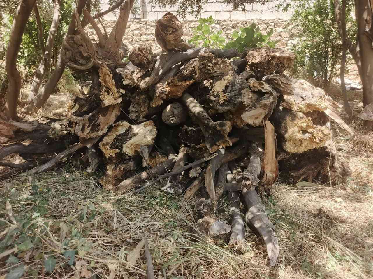 عندي خشب لبيع (حمل كيا)
جماعة المطاعم... مواكب
جماعة السمك.. الي يريد  تفضل خاص.....اتصل عل رقم  (حمل كيا (١٥٠ الف ) 
***********
