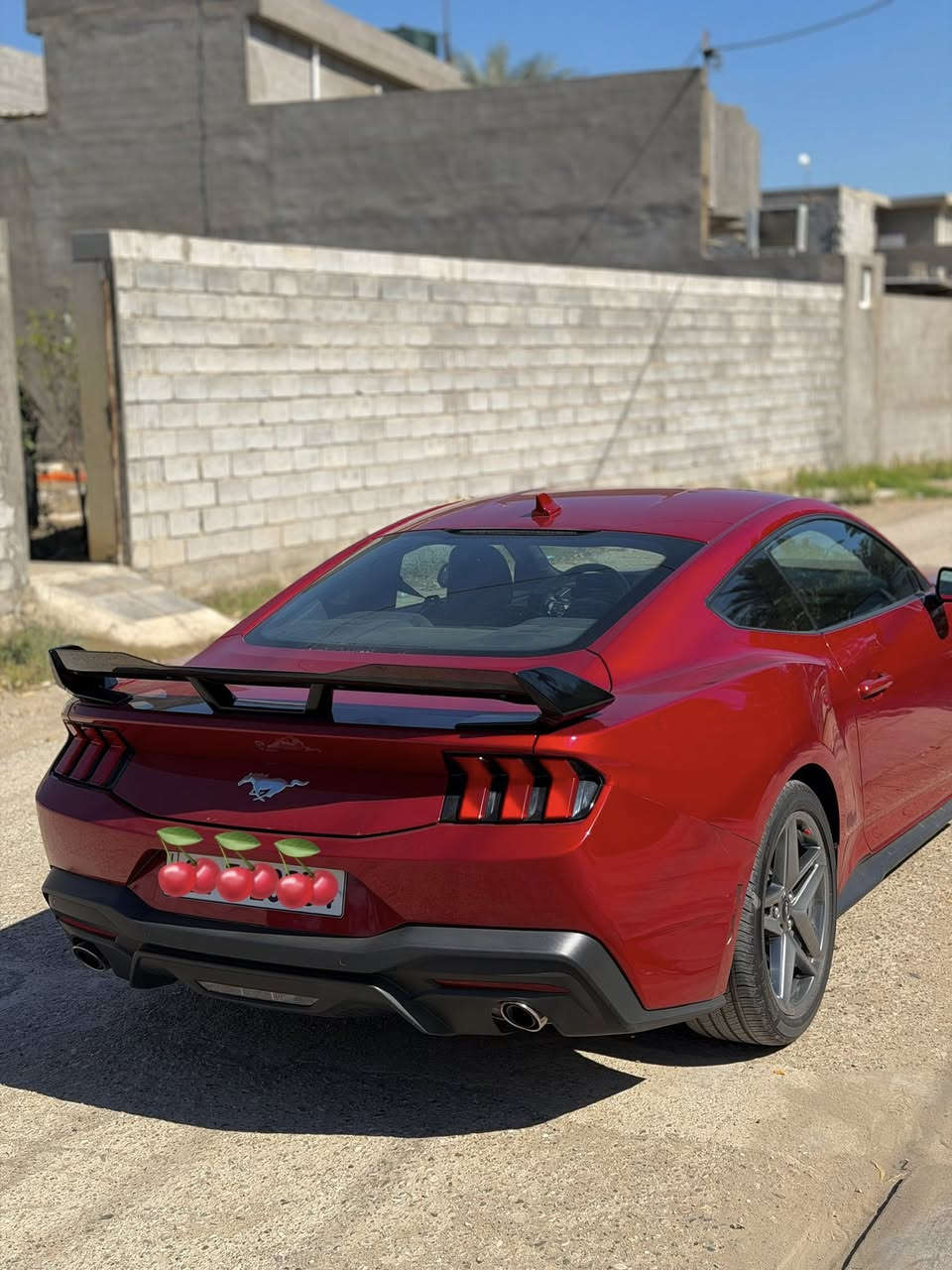 لل مراوس تفضل وتساب ***********

غير متواجد على فيسبوك فقط وتساب

للبيع موستنك ايكو 2024 
رقم اربيل 
ماشيه 38km
فول مواصفات سياره جاهزه وجديد بعده

 حادثة:- 
رقم الشاصي 1FA6P8TH5R5117813 
صور الحادثة بالمنشور ورقم شاصي بالمنشور يمك 
٣قطع إماميه صبغ 

كير اوتماتيك 
محرك كفاله 

مكان ديالى -بعقوبة 
قفل٢١٧$ورقه
***********
