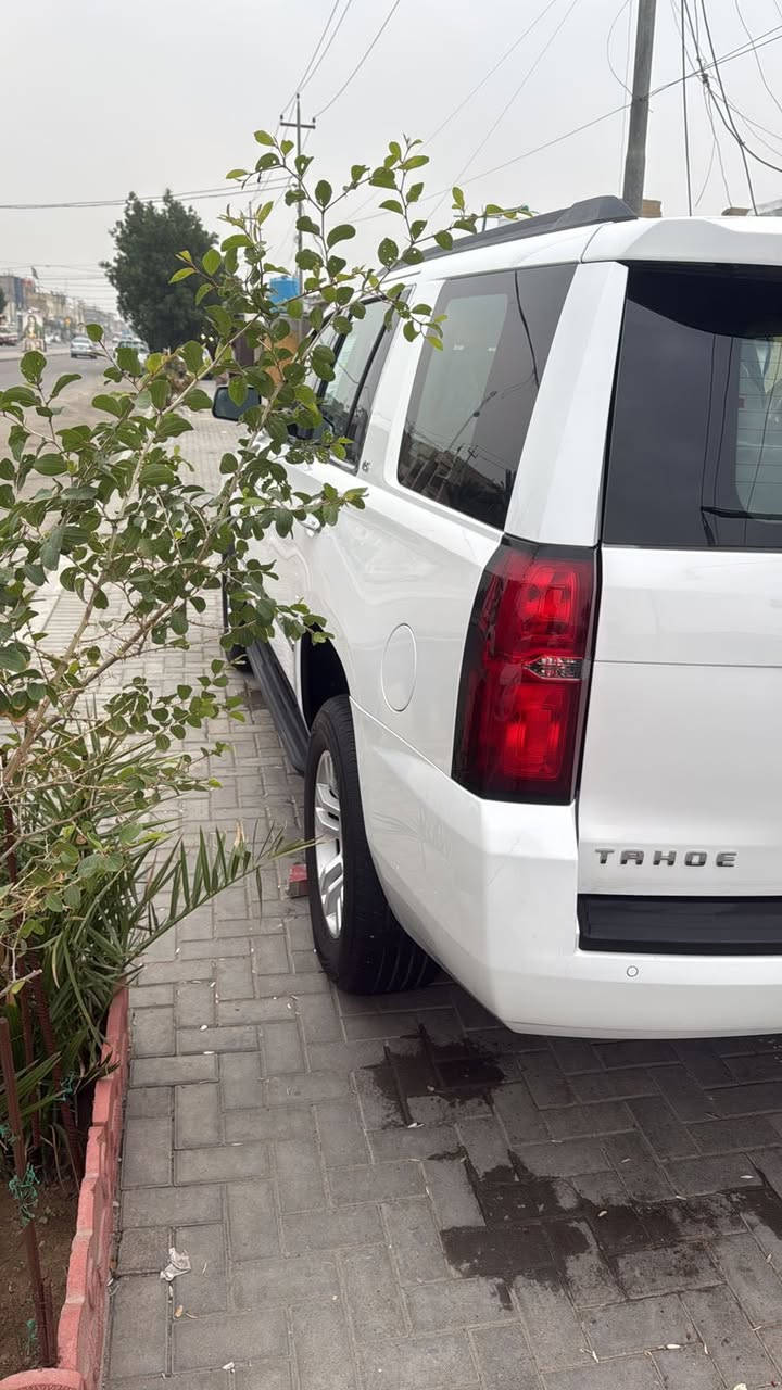 السلام عليكم 
تاهو ٢٠١٥  ادووووات 
خليجيه وكالة الغانم 
طبله 
مكفوله من الدعاميه للدعاميه 
كفاله عااااااااامه 
مكاني البصره 
للاتصال 
‭0770 744 4661‬
