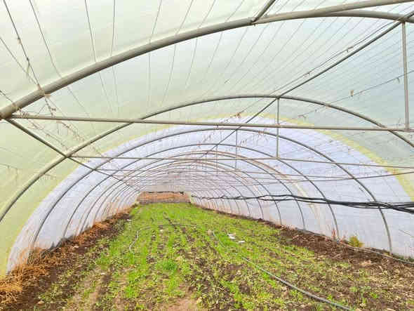 4 بەیتی ملیمو نیو بۆ فرۆشتن
لایلۆن و تەلی تازەیە
بە کامل ئەشیاکانیەوە
شوێن بازیان

سـعـر : لە کۆمێنت داوابکە ڕاستەوخۆ بۆت دێت 📥 

هیچ کێشەیەکی تێدا نییە 

ژمارەی خاوەنەکەی 
***********
