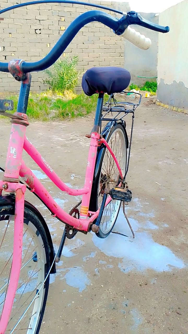 السلام عليكم بايسكل للبيع مكفول جديد كل شي ما بيه جاهز سعر 55 وبيه مجال الطيبين مكاني غراف


**إذا كنت صاحب هذا الإعلان وتريد حذفه لأي سبب، رجاءا أرسل رسالة إلى الدعم الفني**