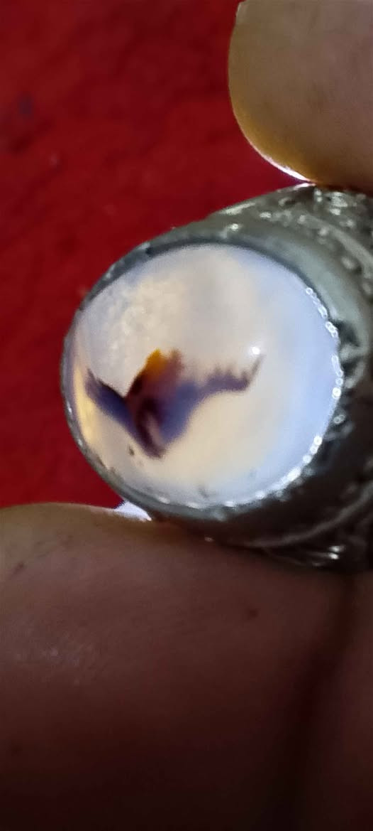 محبس عقيق يماني قديم 
فضه صياغة خراسانيه 
سعر٢٥ البصرة, العراق


**إذا كنت صاحب هذا الإعلان وتريد حذفه لأي سبب، رجاءا أرسل رسالة إلى الدعم الفني**