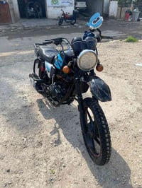 دايوان 2019 • رقم • سنوية