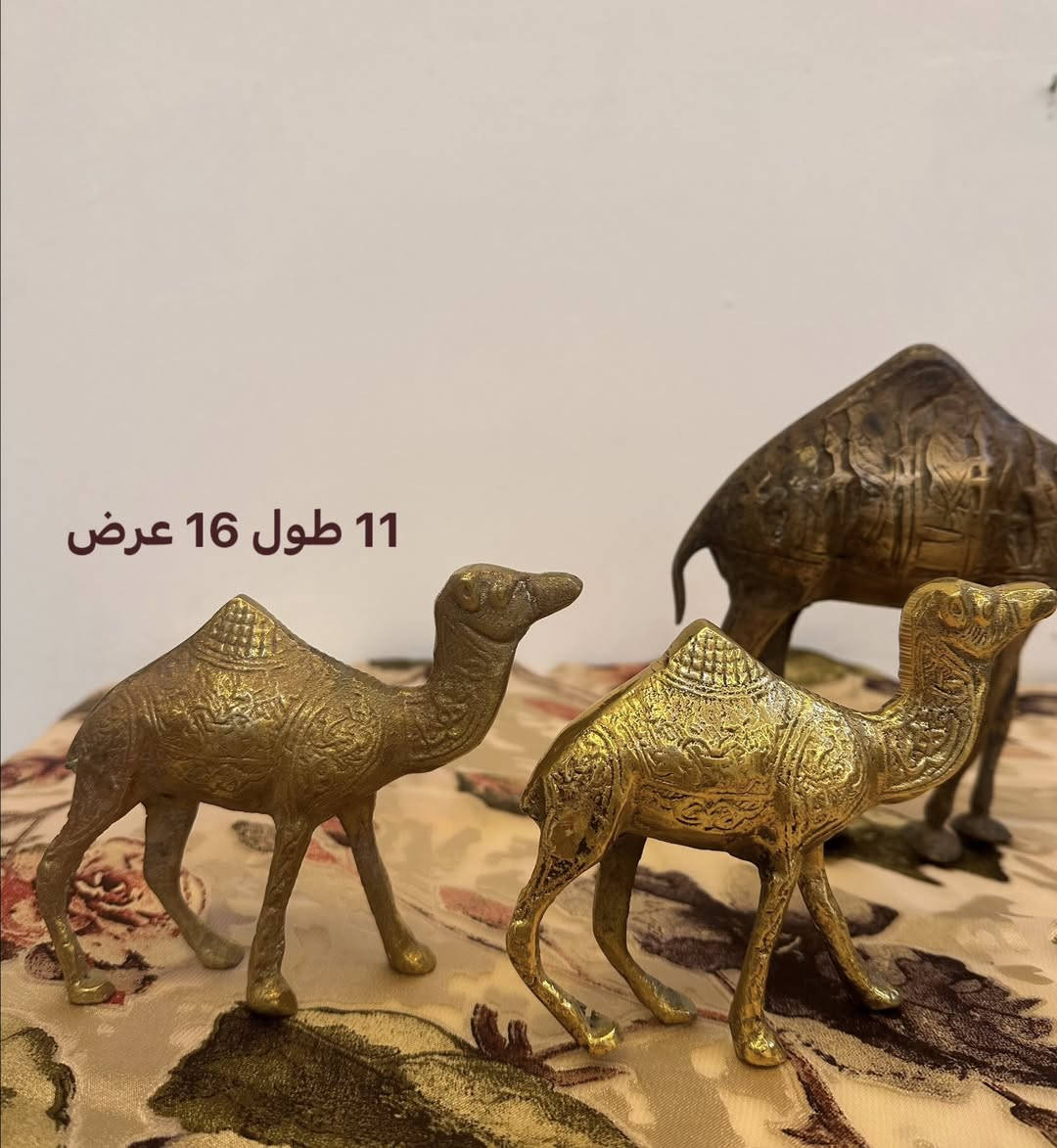 انتيكات
للاستفسار خاص


**إذا كنت صاحب هذا الإعلان وتريد حذفه لأي سبب، رجاءا أرسل رسالة إلى الدعم الفني**