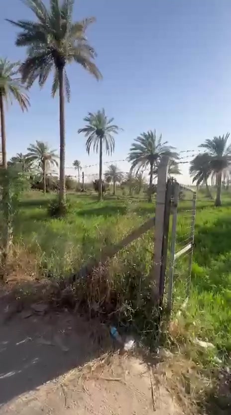 السلام عليكم
للبيع مزرعة طابو سند ٢٥ المساحة الكلية ١٢ دونم واجهة ٦٤متر على تبليط وشط سعر الدونم ٦٥ مليون وبيه مجال تحتوي على بيتين فول مواصفات حتى طاقة شمسية بيهن يباعن البيوت مع الاثاث بناء البيوت كونكريت مسلح طابقين فول مواصفات العنوان ابصخير الاستفسار اكثر الاتصال على الرقم ***********
