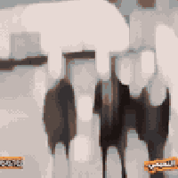 كهرباء • تركيب كاميرات • النجف الشرف