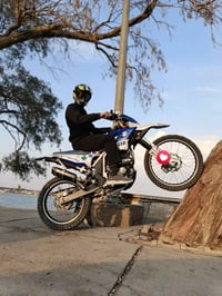 بصرة • كوري • حجم ٢٨