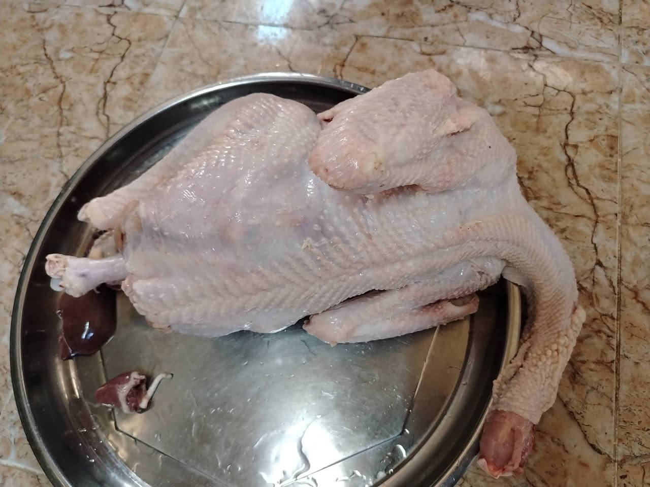 علو كندي الوزن الثقيل العملاق حاليا العمر ٤ ونص شهر والوزن ٩ كيلو او اكثر.. تربية بيت وليس دواجن... يصل الأوزان في سنة إلى أكثر من ٢٥ كيلو
الكيلو على ٩ الالاف للاستفسار الاتصال على الرقم ***********.. العياضية
