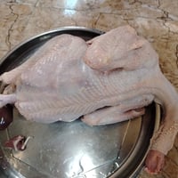 وز كندي • ٩ كيلو • ٤ ونص شهر