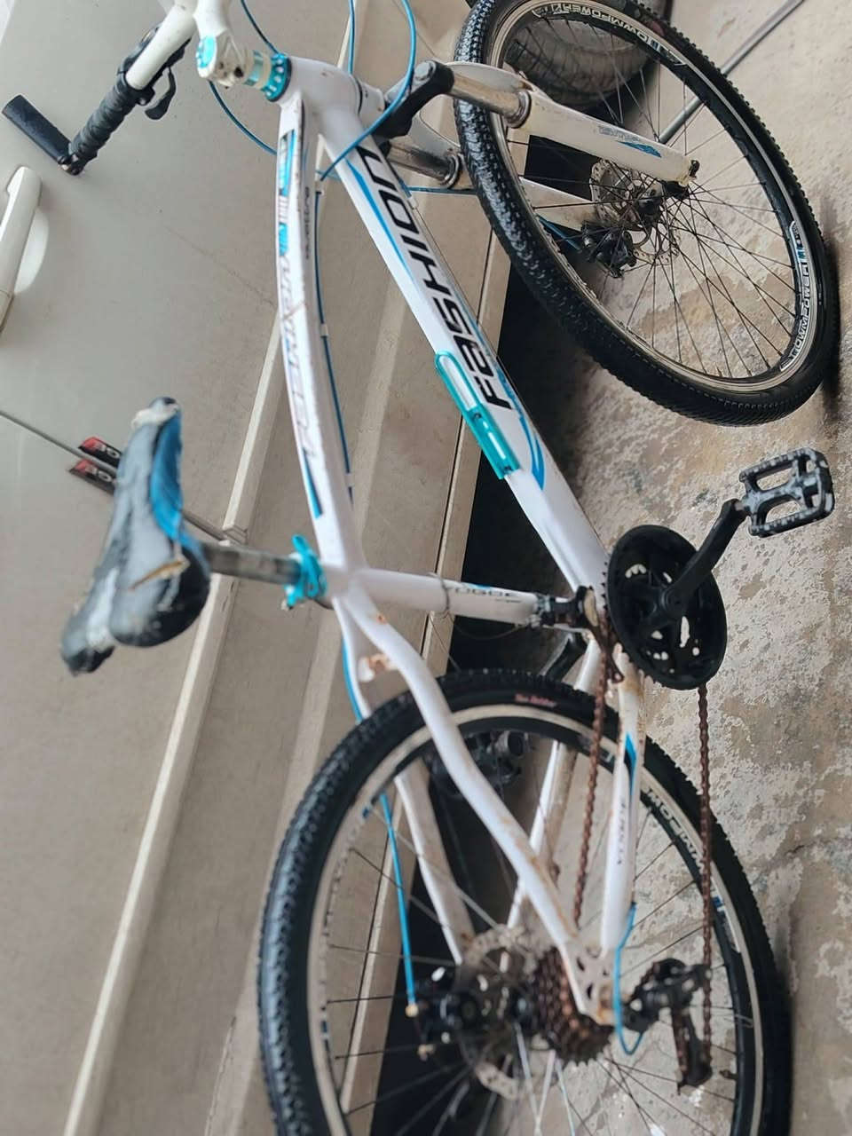 بيسكل جبلي 26 مستعمل نظيف السعر 45 الف


**إذا كنت صاحب هذا الإعلان وتريد حذفه لأي سبب، رجاءا أرسل رسالة إلى الدعم الفني**