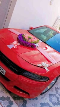 تزين سيارات • ديجيات • خيم وكراسي