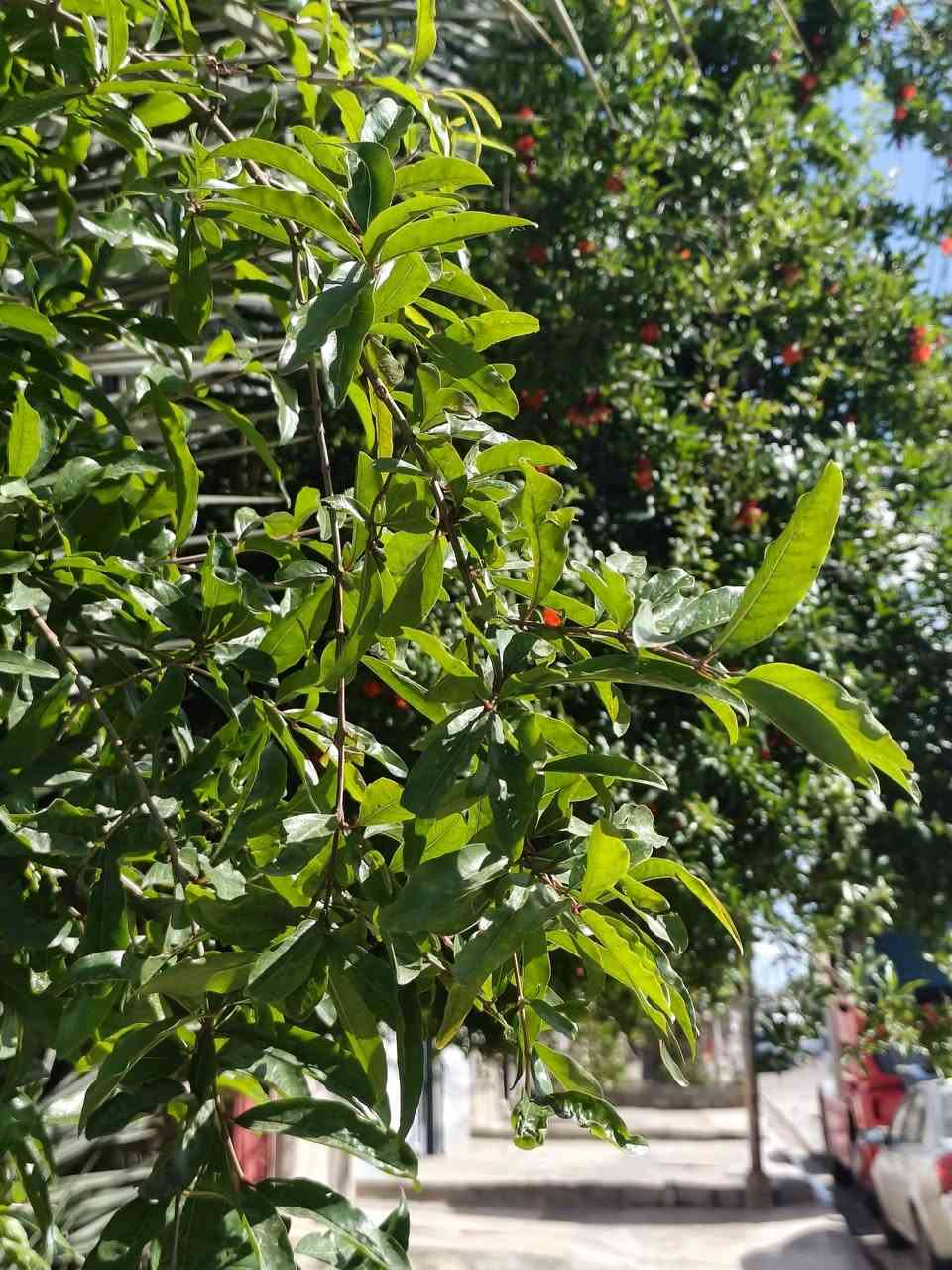 سلام شباب جهاز تكنو كامون 40برو 5G الذاكره256 الرام 8+8 الجهاز غني عن التعريف مذكوره مواصفاته بل الصوره الجهاز 14هرتز للبيع او مراوس جهاز كامل ملحقاته نضافه100/100 ✅ السعر قفل 300الف قفل سعرا بل الجامعه الجديد 415 الف


**إذا كنت صاحب هذا الإعلان وتريد حذفه لأي سبب، رجاءا أرسل رسالة إلى الدعم الفني**