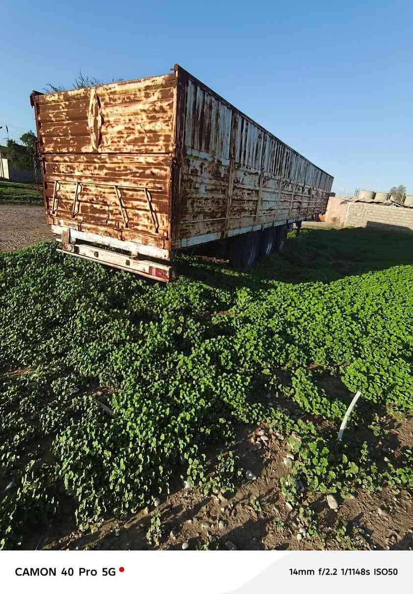 بودي للبيع تخم تاير بالون السعر ٦٠ المكان طوز خرماتو ***********
