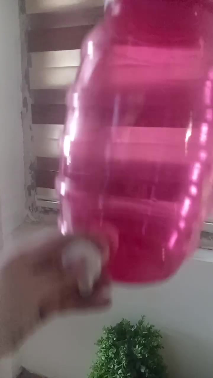 للبيع أغراض منزلية ومستلزمات مواكب *********** بغداد
